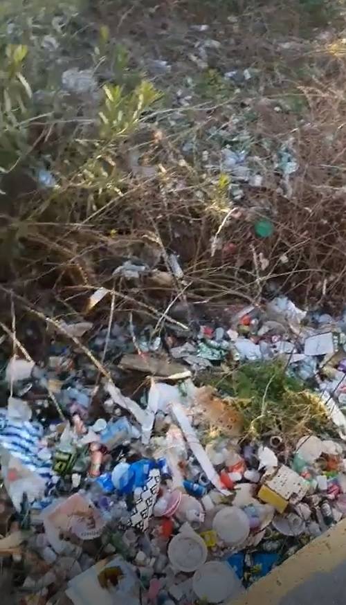 Topi a via Aniello Falcone e degrado a Fuorigrotta: la città in balia dei rifiuti